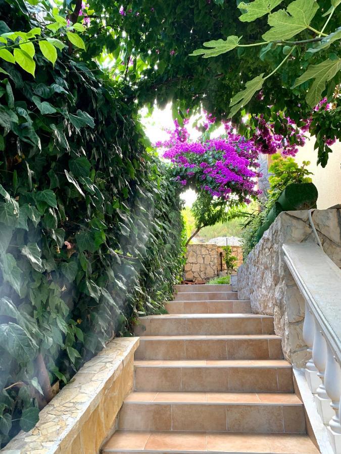 Apartments Villa Ra Жаборич Екстериор снимка